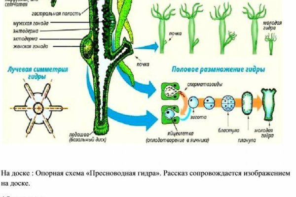 Через какой браузер заходить на кракен