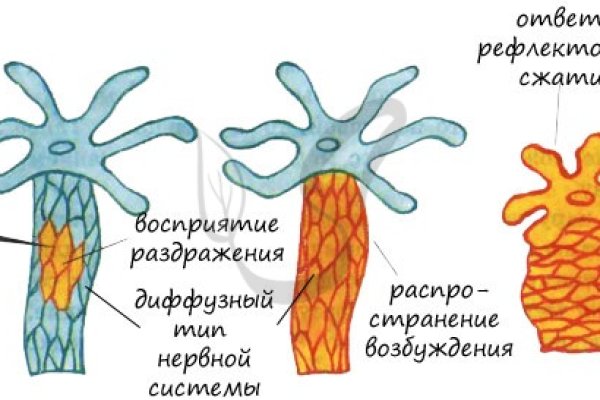 Kraken onion зеркало